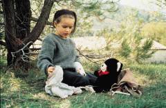 Ponette